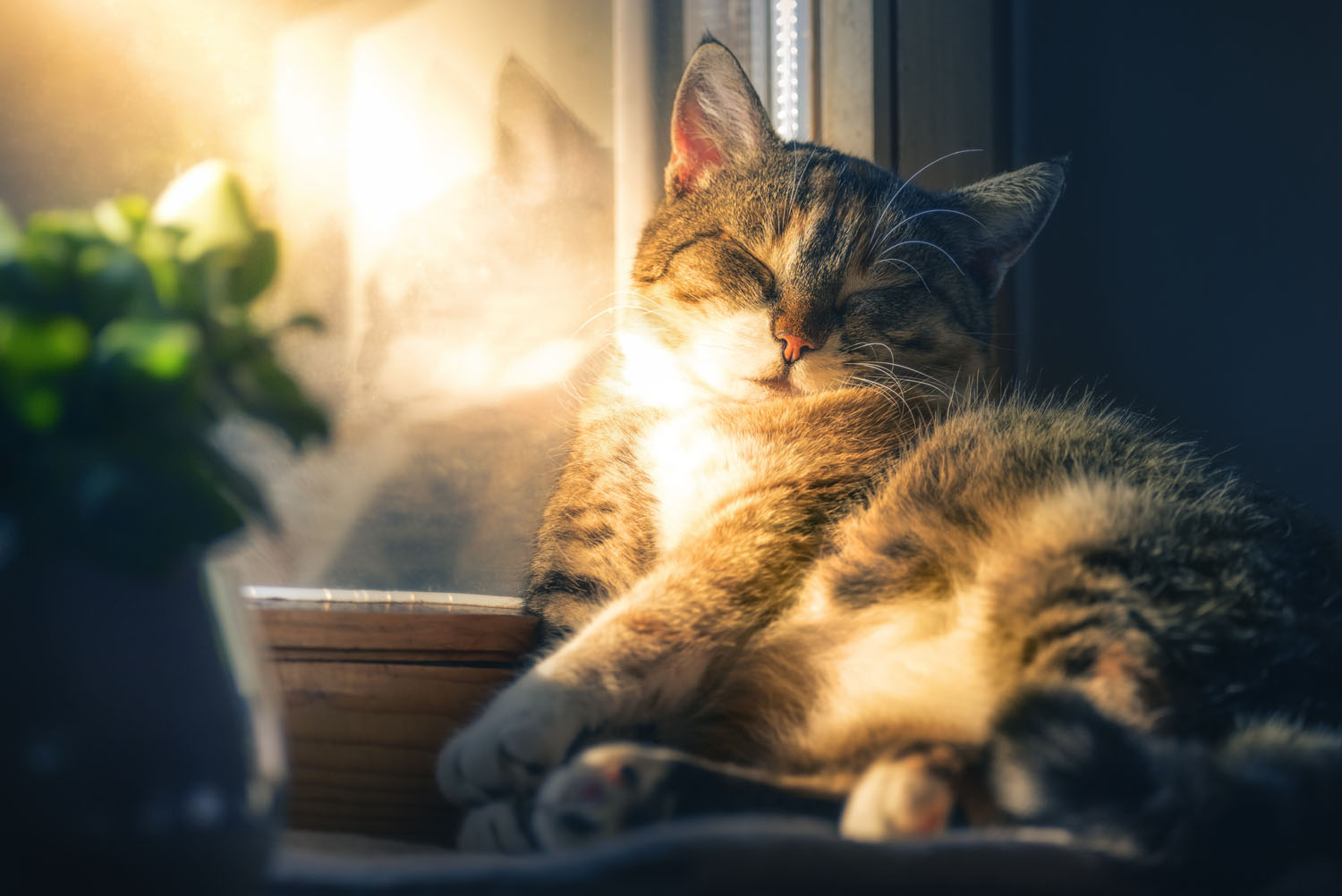 Frühjahrsmüdigkeit? Das muss nicht sein!